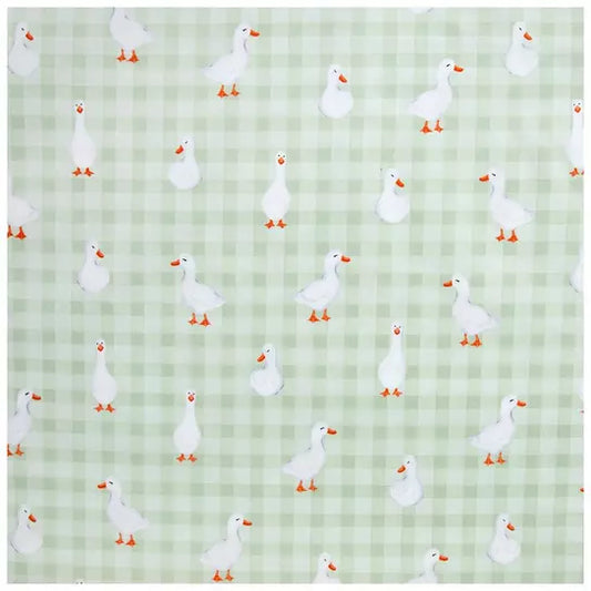 Duck … Duck … Bonnet
