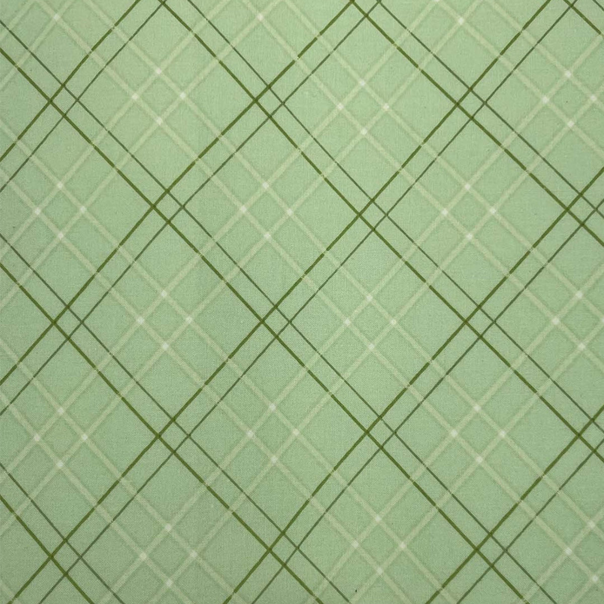 Light Green Plaid Bonnet