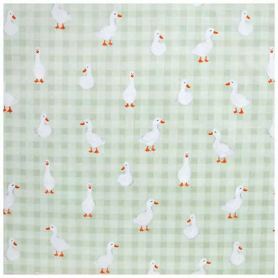 Duck … Duck … Bonnet