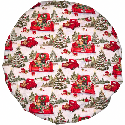 Dogs In Red Pickup Truck Bonnet